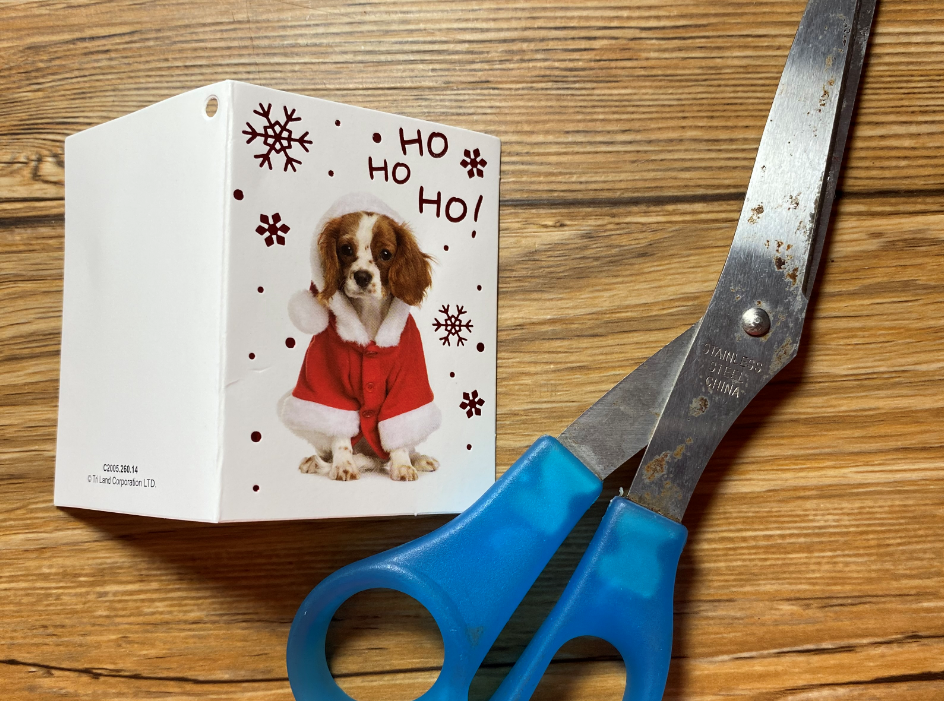 Affordable And Reusable DIY Dog Advent Calendar In 5 Steps - Pawsitive ...